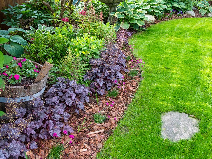 Flower bed filled with brown mulch filled with greenery and purple plants