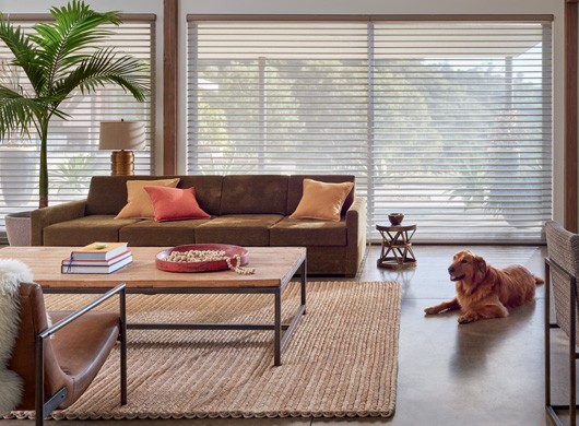 Silhouette® Window Shadings