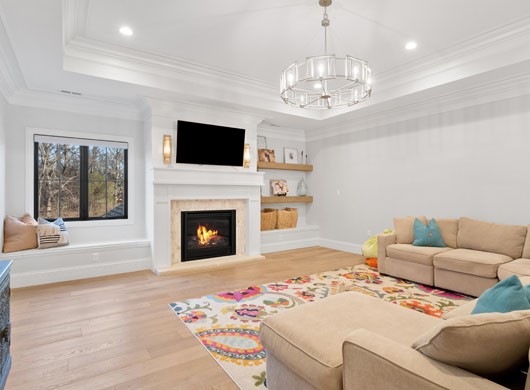 Designer Roller Shades in Living Room Up