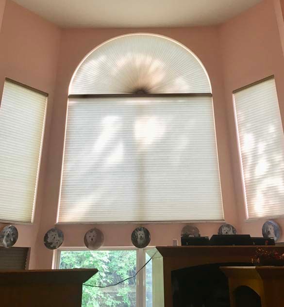 Applause® Honeycomb Shades in Living Room