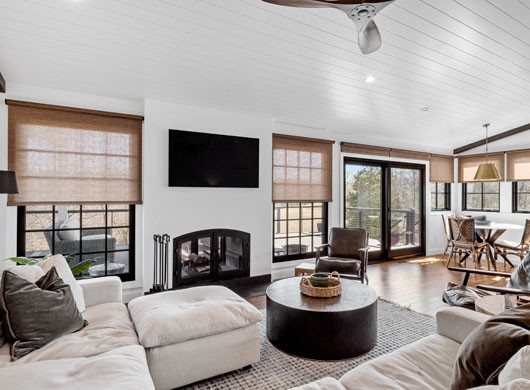 Designer Roller Shades