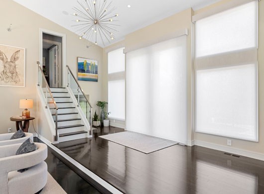 Designer Roller Shades