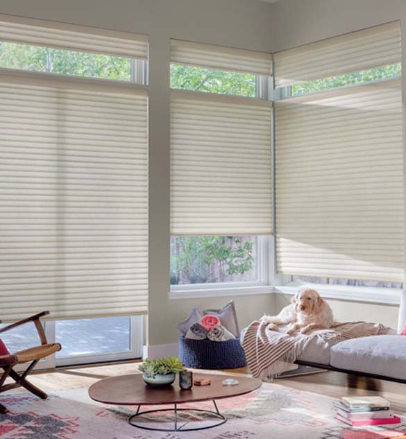 Sonnette™ Cellular Roller Shades
