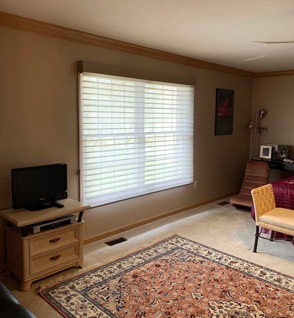 Silhouette® Window Shadings 